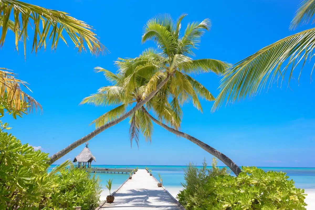 plage tropicale